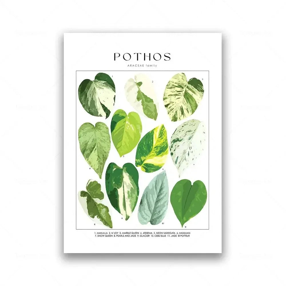 Classic Botanical Specimen Green Leaves Canvas Wall Art