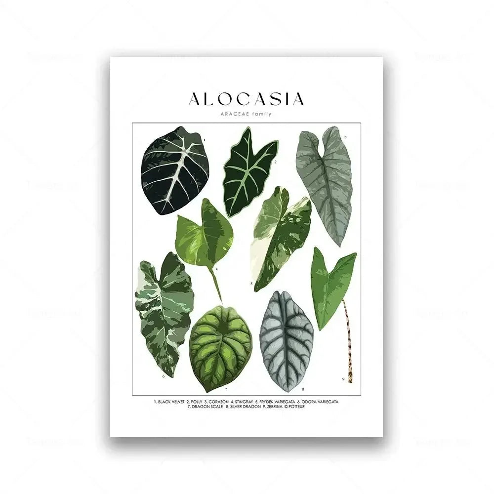 Classic Botanical Specimen Green Leaves Canvas Wall Art