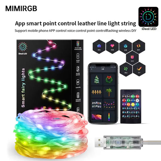 Dreamcolor Fairy String Lights USB RGB Smart APP Party Decoration