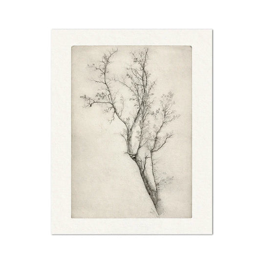 Classic Vintage Landscape Wall Art Canvas Print