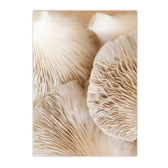 Tranquil Sunset Seascape Landscape Canvas Wall Art