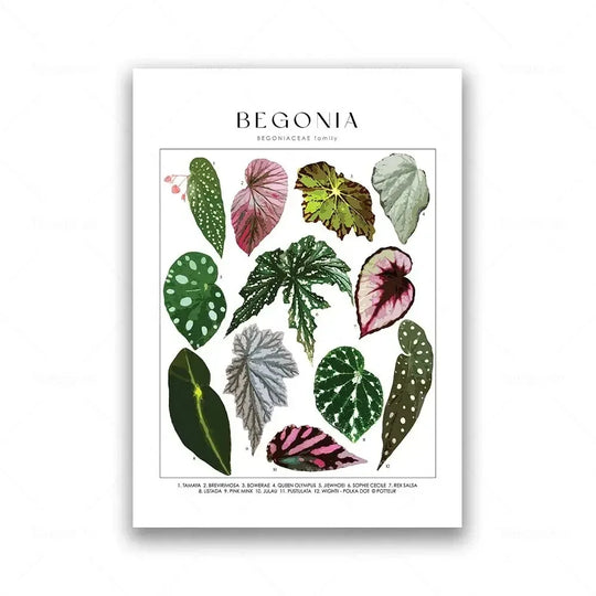 Classic Botanical Specimen Green Leaves Canvas Wall Art