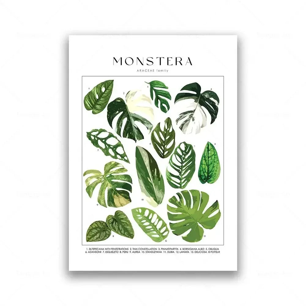 Classic Botanical Specimen Green Leaves Canvas Wall Art