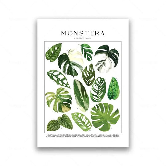 Classic Botanical Specimen Green Leaves Canvas Wall Art