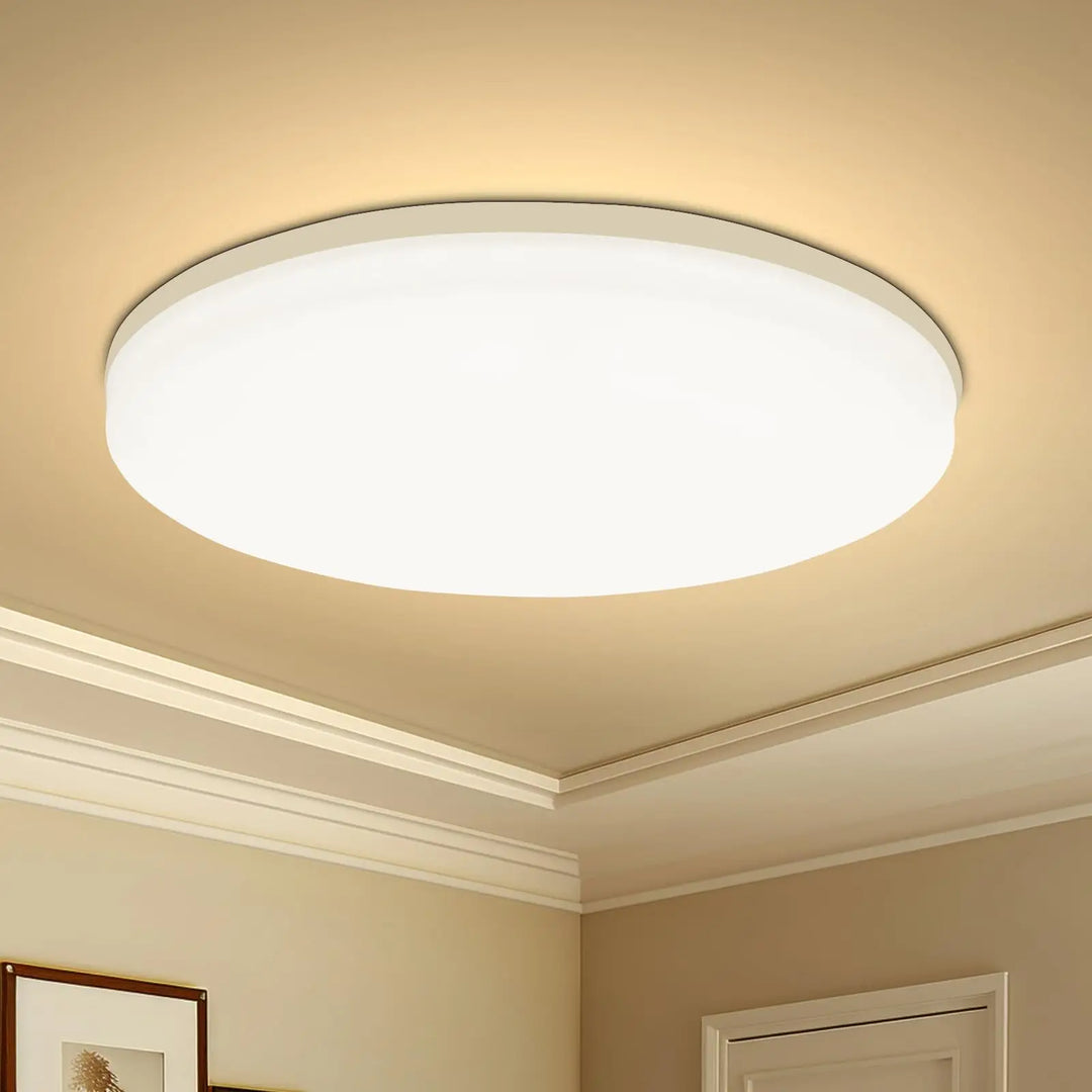 Round LED Ceiling Light for Modern Indoor Home Lighting