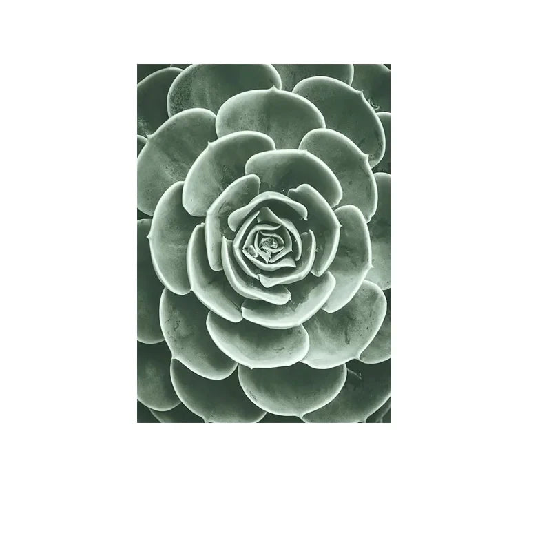 Cactus Botanical Canvas Wall Art Green Leaf Print