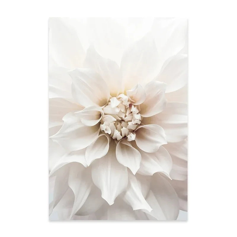 Minimalist White Floral Dahlia Rose Canvas Wall Art