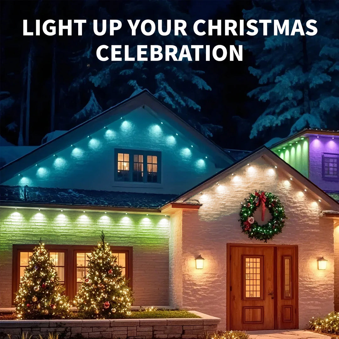 Smart RGB Eaves LED Lights Outdoor Bluetooth Christmas Decoration