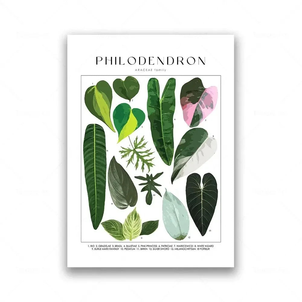 Classic Botanical Specimen Green Leaves Canvas Wall Art