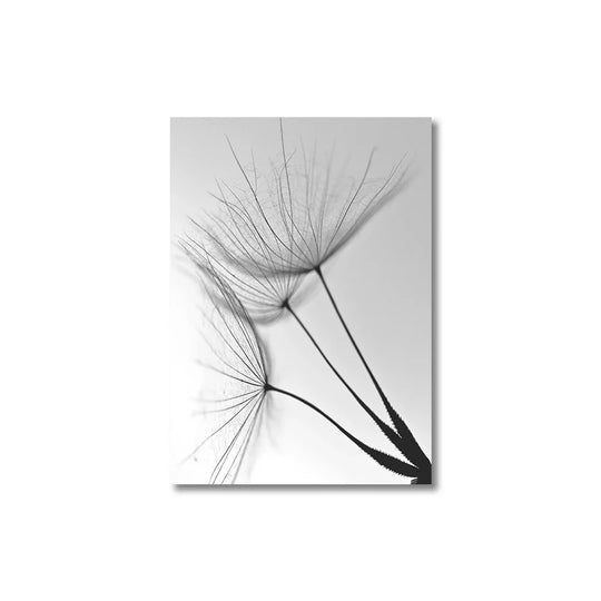 Minimalist Dandelion Wisps Black White Canvas Wall Art Unframed