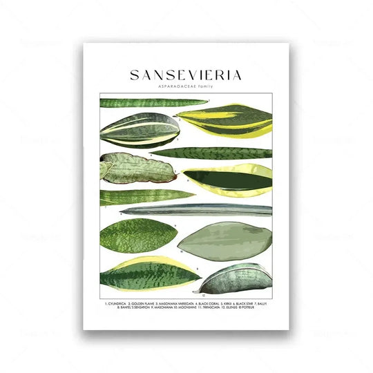 Classic Botanical Specimen Green Leaves Canvas Wall Art