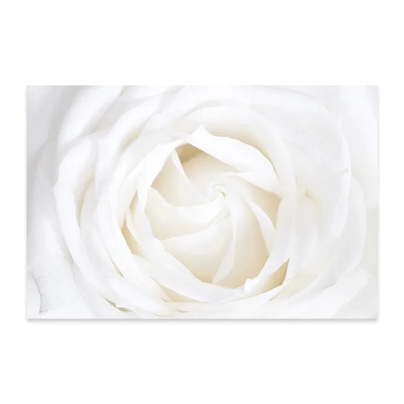 Minimalist White Floral Dahlia Rose Canvas Wall Art