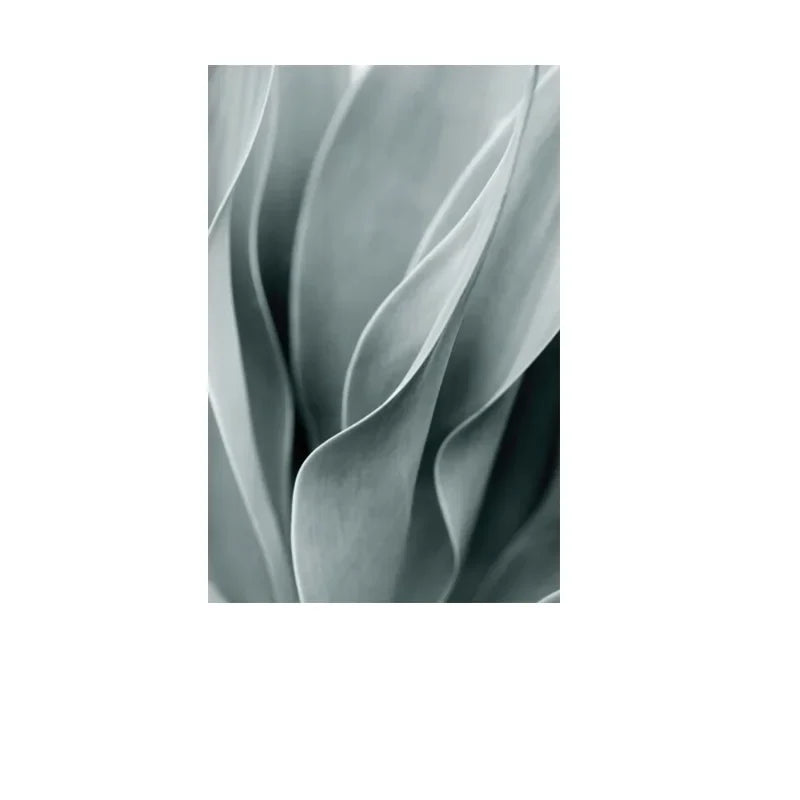 Cactus Botanical Canvas Wall Art Green Leaf Print