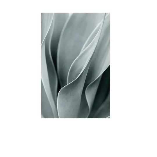 Cactus Botanical Canvas Wall Art Green Leaf Print