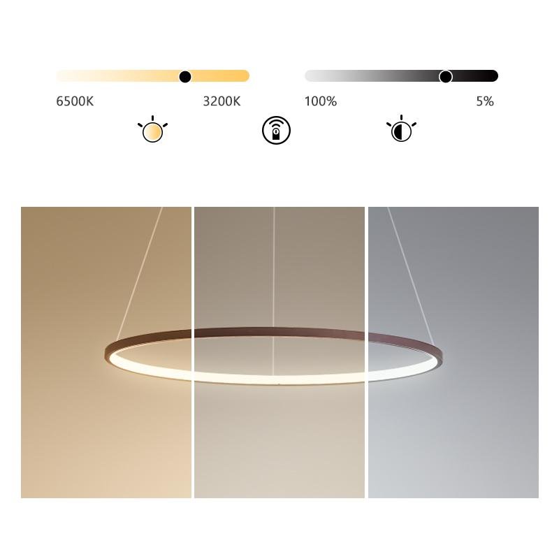 Circle Linear Modern LED Chandelier Pendant Light