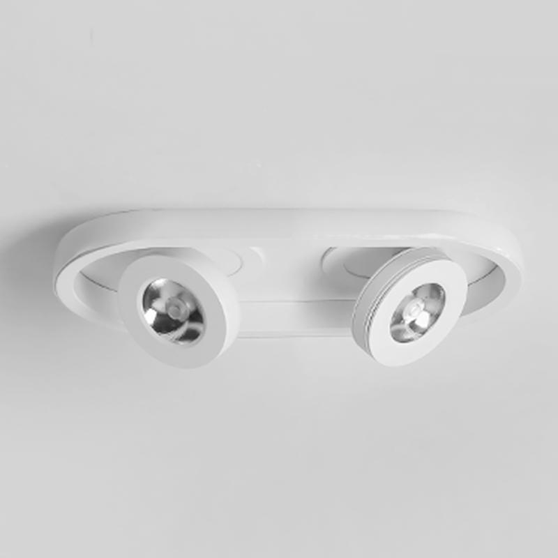 Rectangular Strip LED Flush Mount Ceiling Light with 2 Adjustable Spotlights