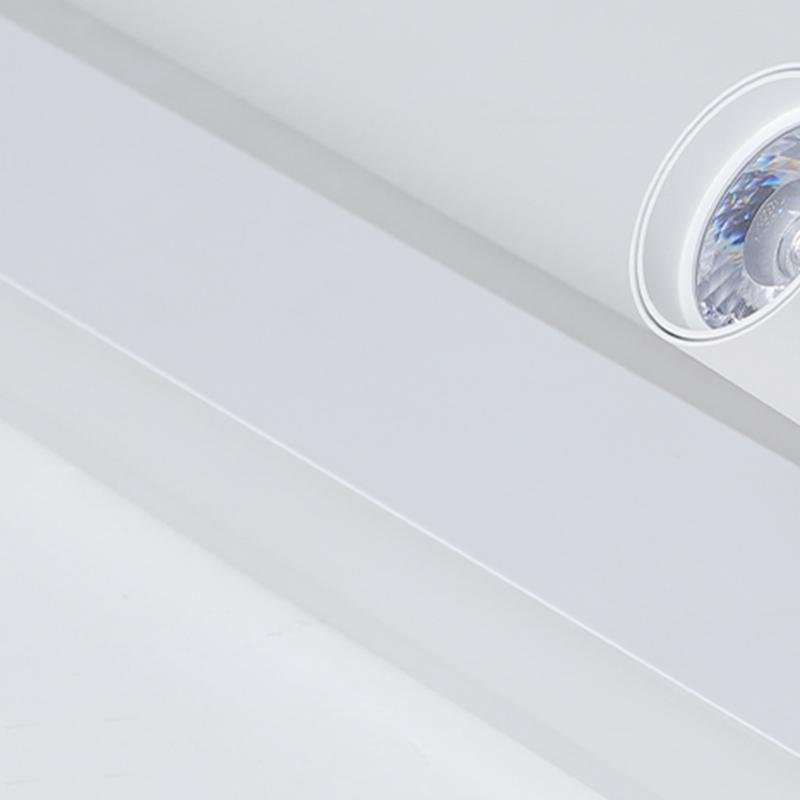 Rectangular LED Flush Mount Light with Rotatable Spherical Spotlights