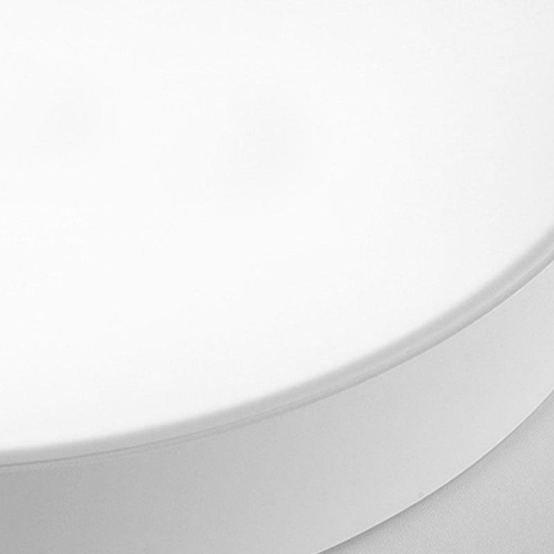 16'' Round Dimmable Modern Flush Mount LED Ceiling Light with Remote