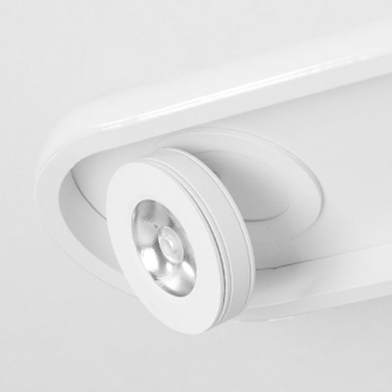 Rectangular Strip LED Flush Mount Ceiling Light with 2 Adjustable Spotlights