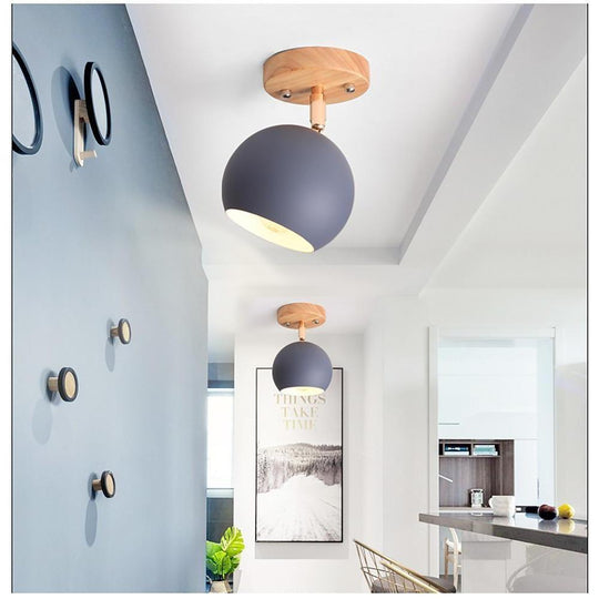 Semicircular Metal LED Rustic Adjustable Pendant Light