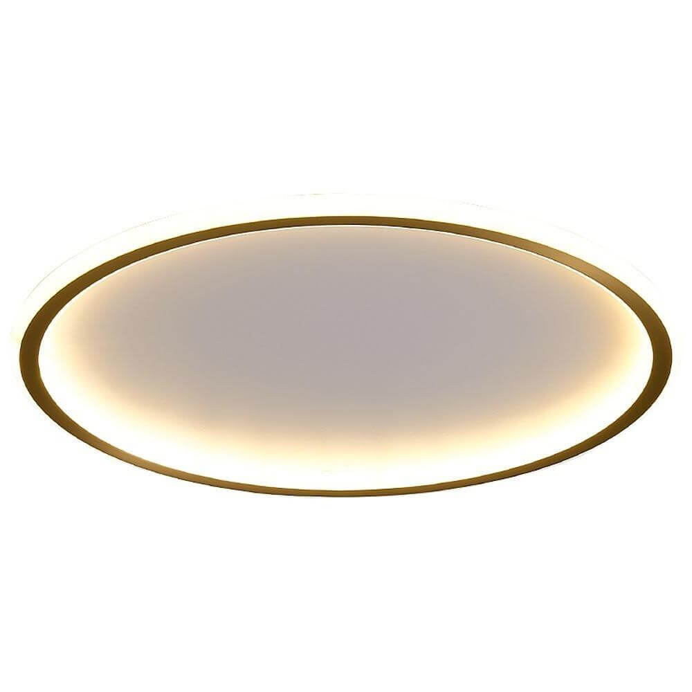 Circle Design Nordic LED Flush Mount Ceiling Light