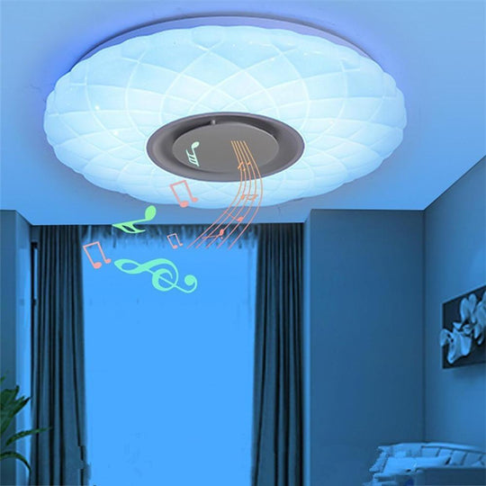 Metal Acrylic Dimmable LED Flush Mount Ceiling Light