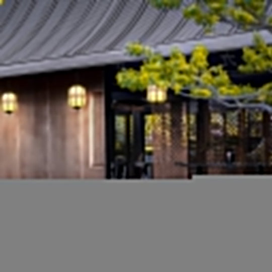 Classical LED Waterproof Outdoor Chandelier for Courtyard