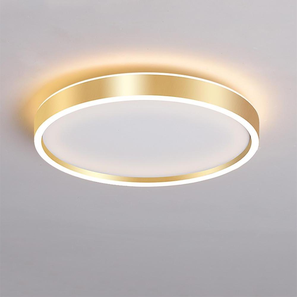 Circular Minimalist Metal Flush Mount LED Living Room Ceiling Light