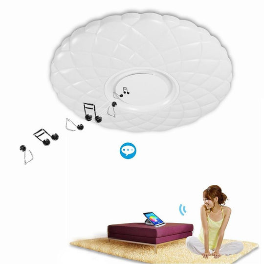 Metal Acrylic Dimmable LED Flush Mount Ceiling Light