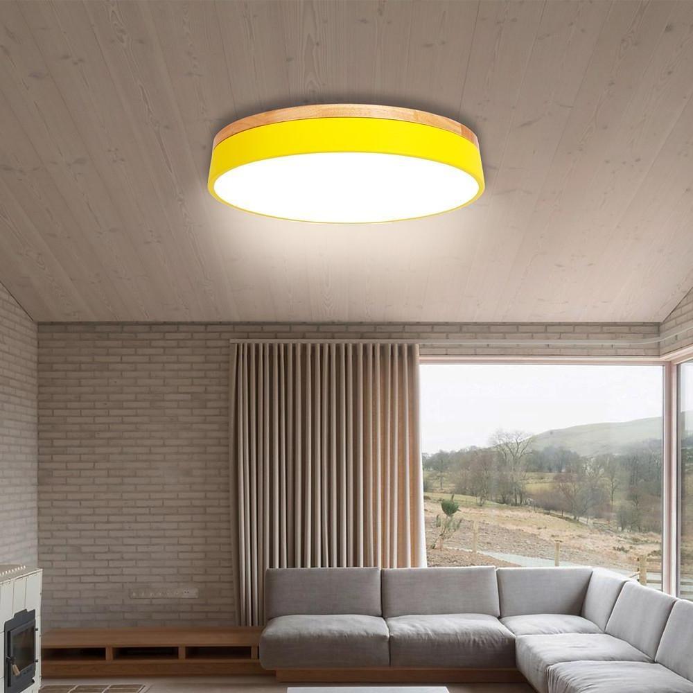 12-Inch Circular LED Modern Flush Mount Ceiling Light