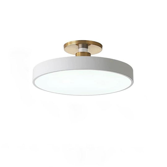 Thick Circular LED Flush Mount Ceiling Light