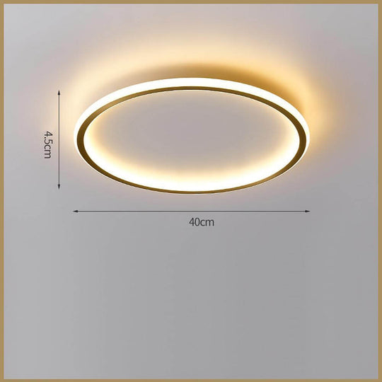 Circle Design Nordic LED Flush Mount Ceiling Light