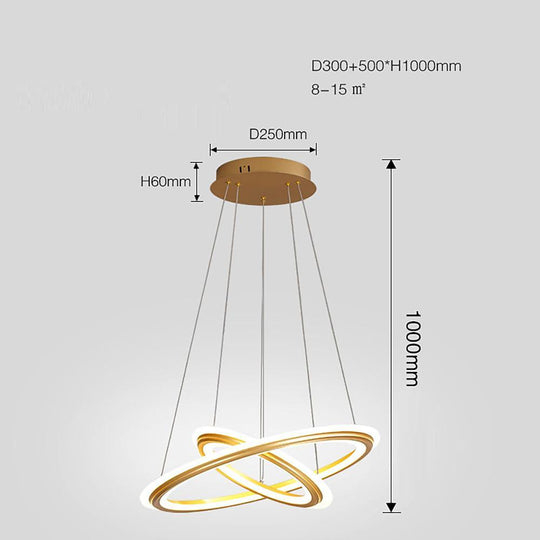 2 Light Circles Shaped LED Nordic Chandeliers Hanging Ceiling Lights