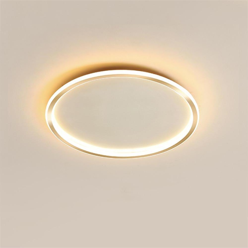 Circular Minimalist Metal Silica Gel LED Flush Mount Ceiling Light