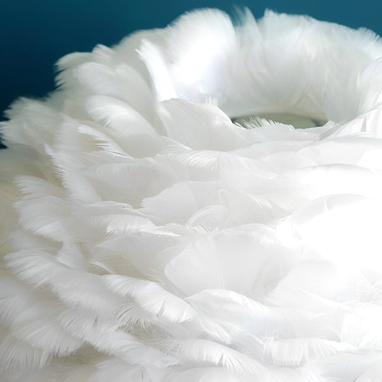 Feather Table Lamp with LED Light and Crystal Tassels