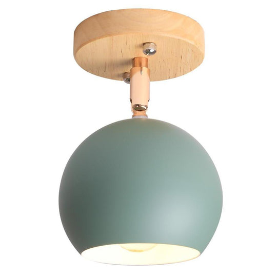 Semicircular Metal LED Rustic Adjustable Pendant Light