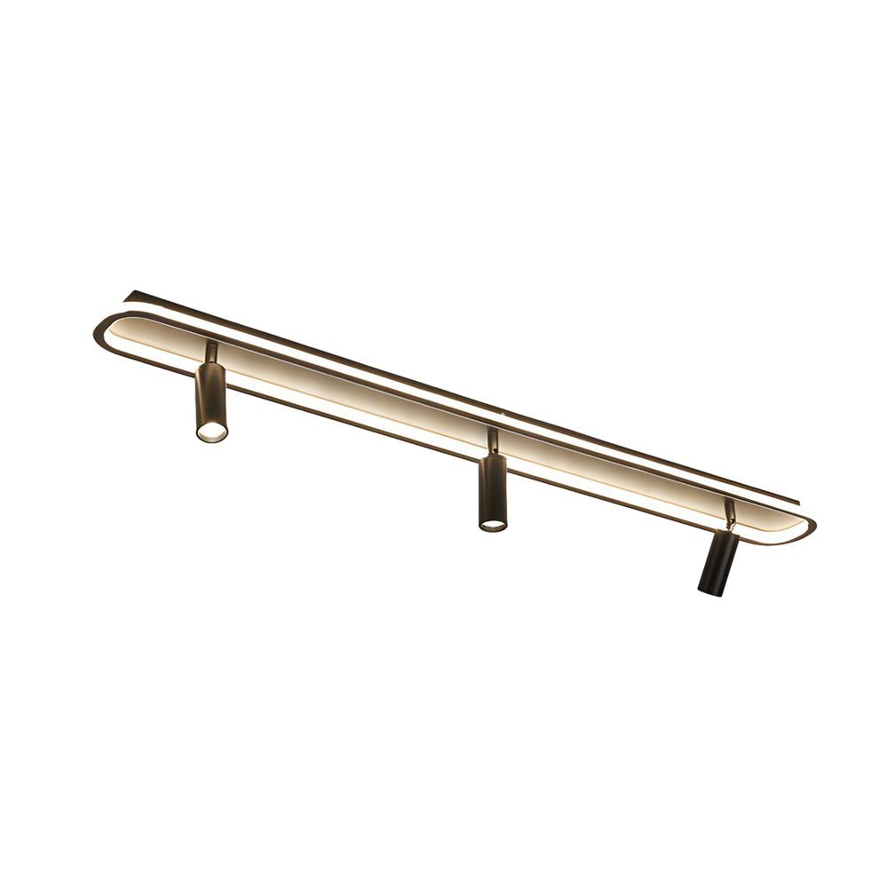 Long Rectangular LED 3-Step Dimming Ceiling Light with Spotlight