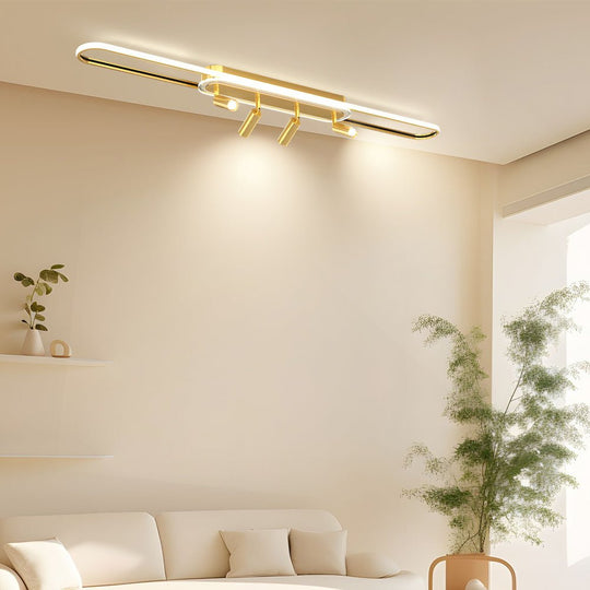 Long Ring Three Step Dimming Modern Surface Mounted Spotlights Ceiling Light