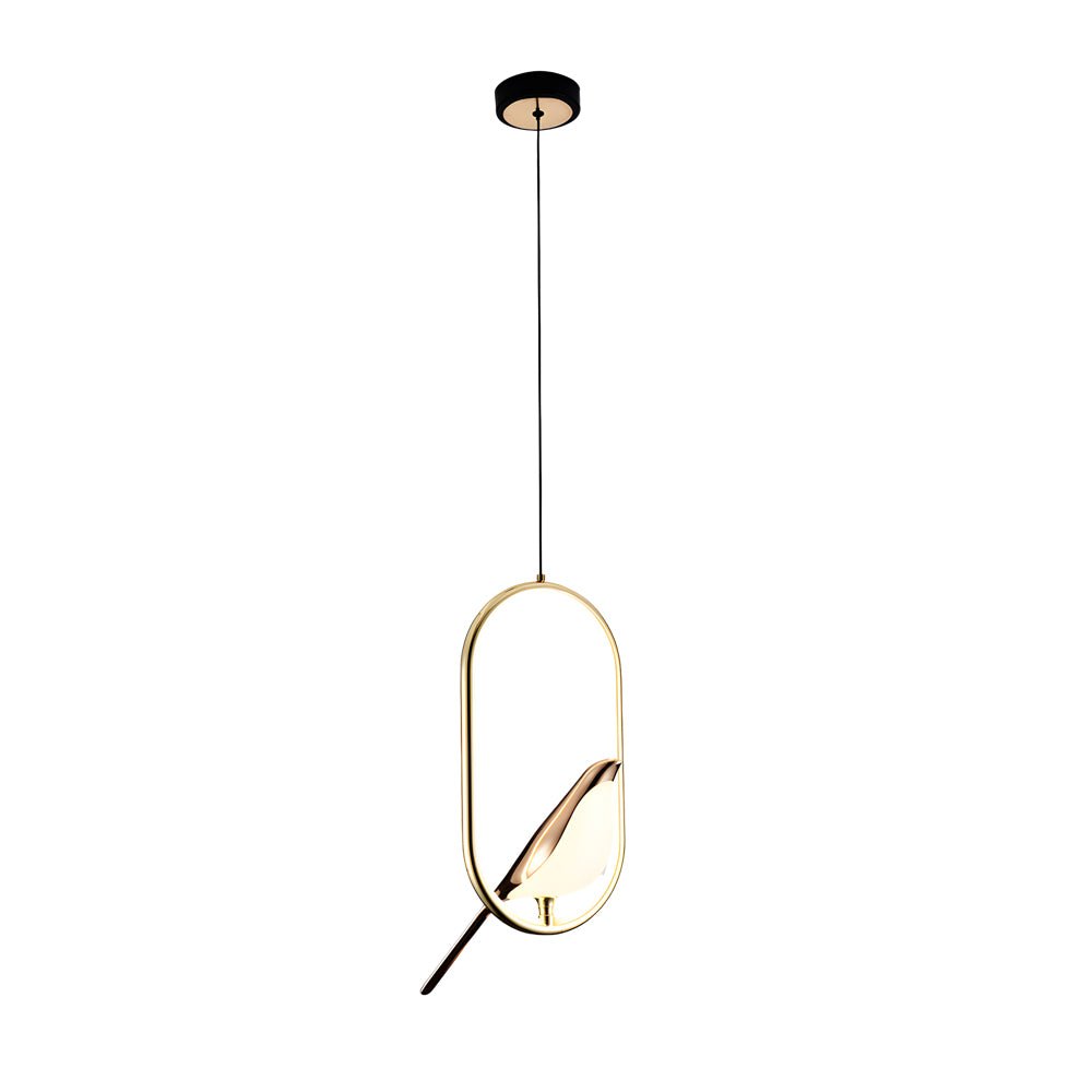 Modern Magpie Pendant Light – Circle/Oval LED