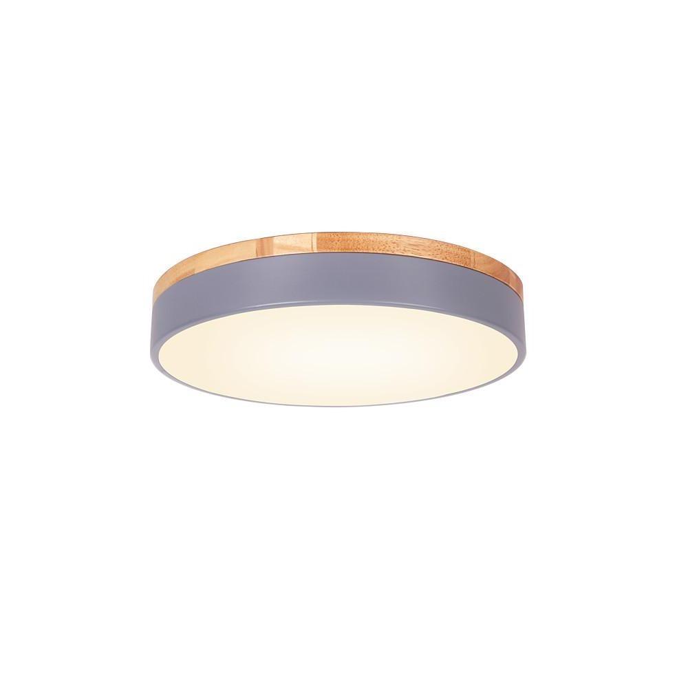 12-Inch Circular LED Modern Flush Mount Ceiling Light