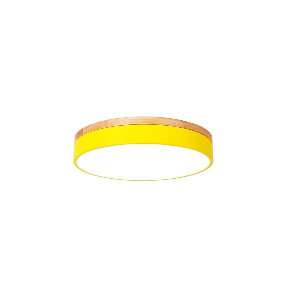 12-Inch Circular LED Modern Flush Mount Ceiling Light