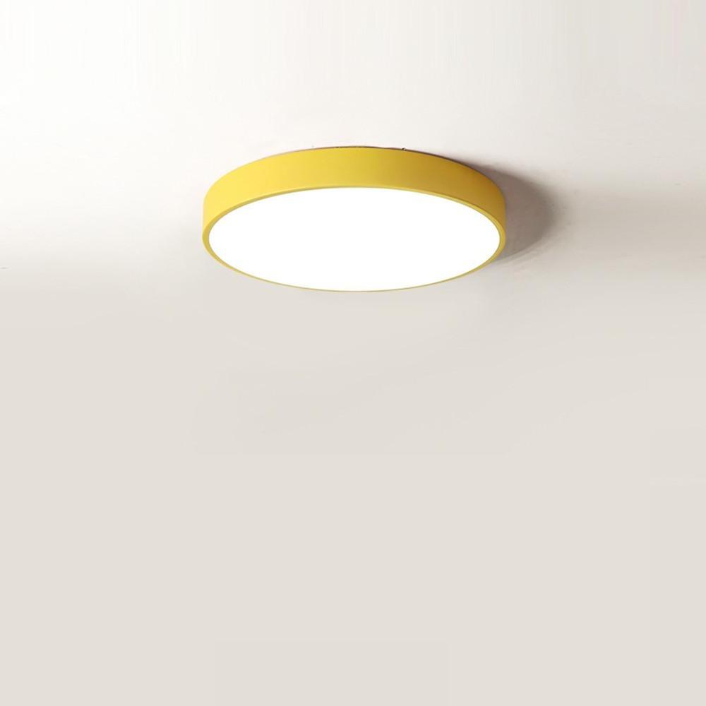 Sizable Flush Mount Ceiling Light with Customizable Color Options