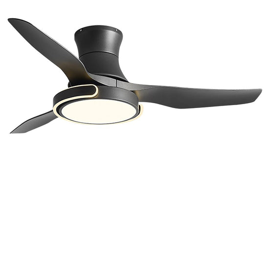 Remote Control Variable Frequency Dimming Integrated Ceiling Fan Light