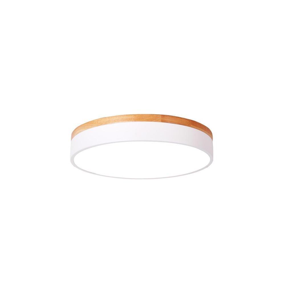 12-Inch Circular LED Modern Flush Mount Ceiling Light