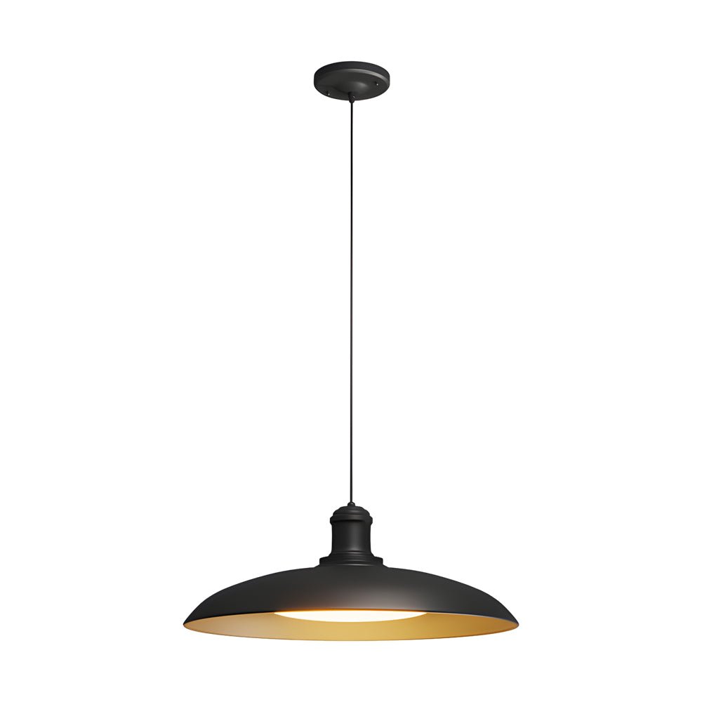Round Black Metal Saucer-Shaped Outdoor Pendant Light