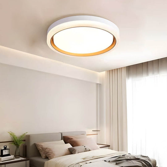 Round LED Flush Mount Ceiling Light