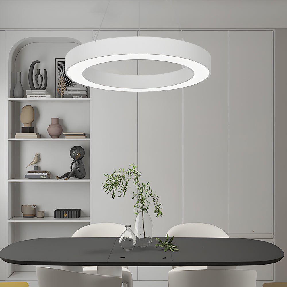 Round Ring – Modern Hanging Profile LED Pendant Light for Office, Gym, and Commercial Spaces