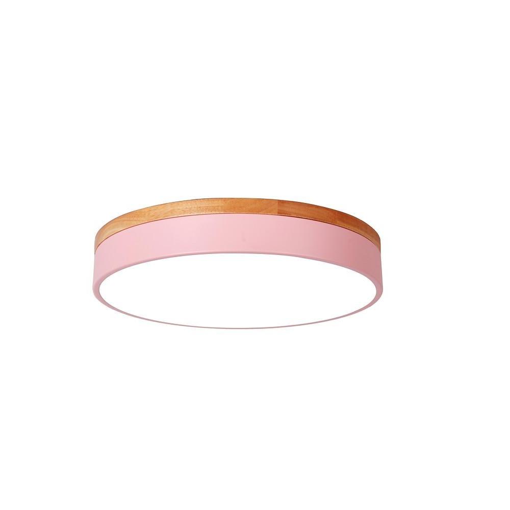 12-Inch Circular LED Modern Flush Mount Ceiling Light