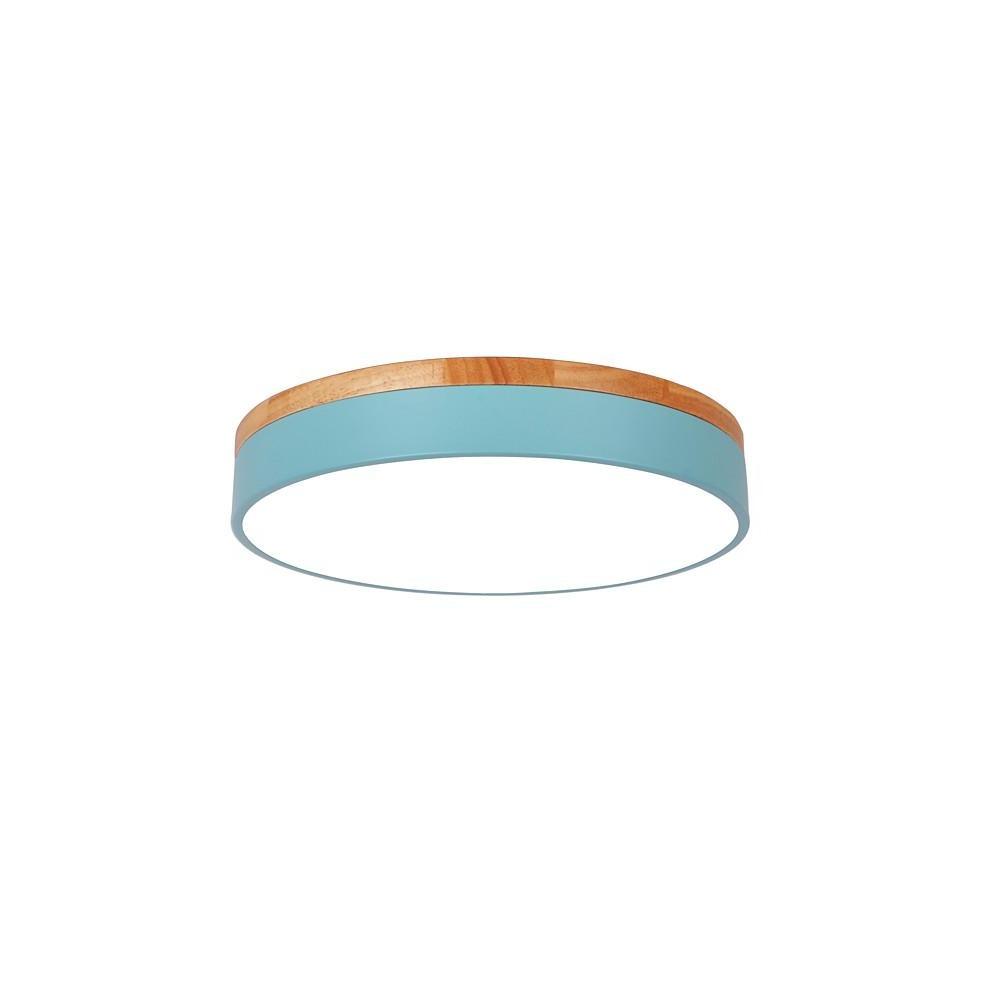 12-Inch Circular LED Modern Flush Mount Ceiling Light