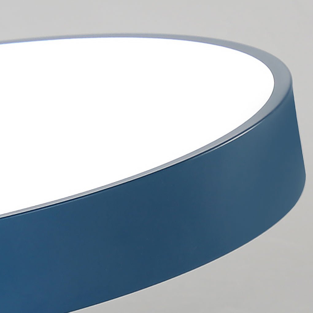 Thick Circular LED Flush Mount Ceiling Light